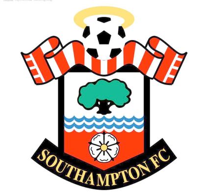 得了球迷的 得了球迷的